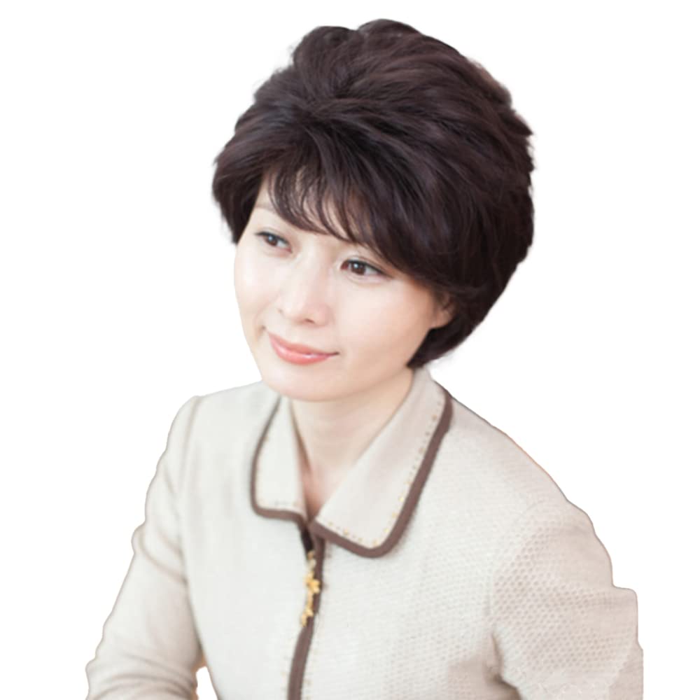 Transparency Knot Short Brown Wig for Women  Heat Resistant Synthetic Lady Wig Light Brown Deep Brown  Fashion  Different Style Short Wigs for Women 11 Inch